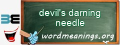 WordMeaning blackboard for devil's darning needle